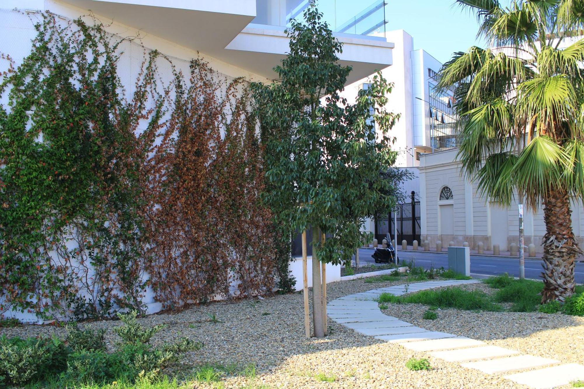 Marisabella Suite 8 Bari Bagian luar foto